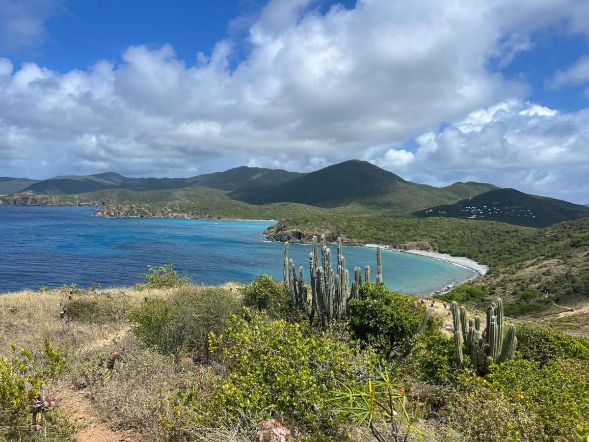 Blue Pearl Villa In St John Usvi Coral Bay Kültér fotó