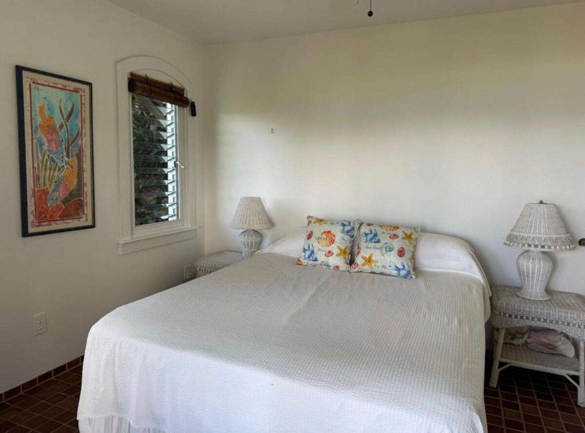 Blue Pearl Villa In St John Usvi Coral Bay Kültér fotó